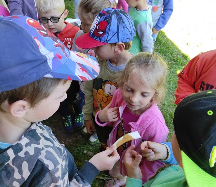 Obrázek galerie  26133