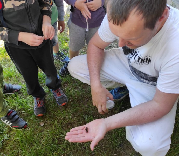 Obrázek galerie  26149