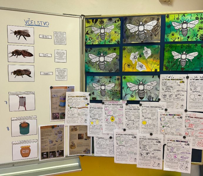 Obrázek galerie  26174