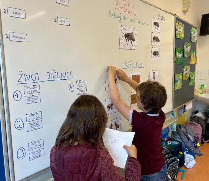 Obrázek galerie  26175