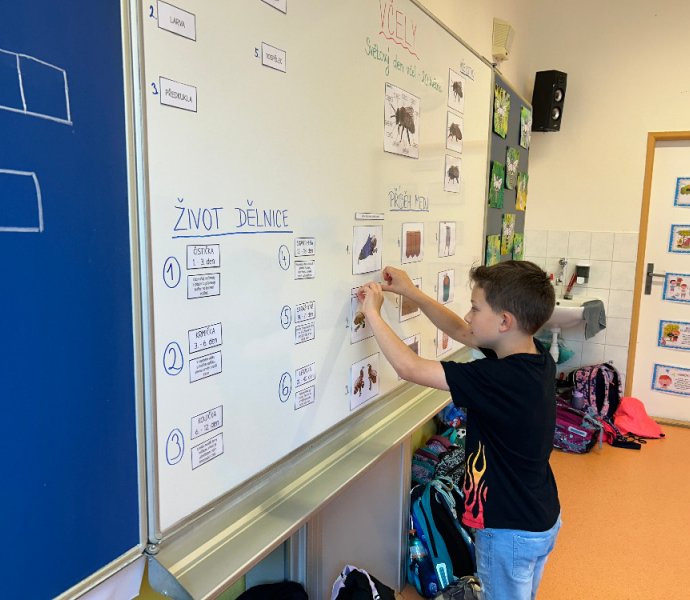 Obrázek galerie  26176