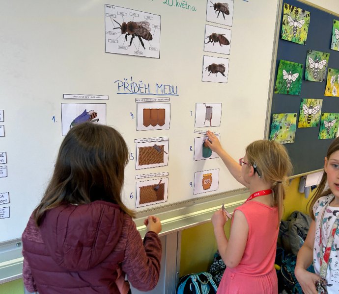 Obrázek galerie  26178