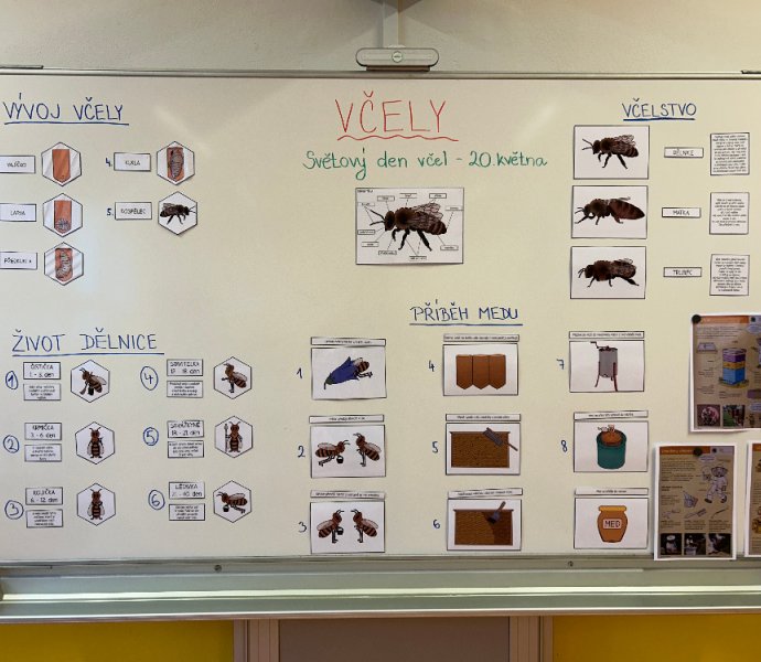 Obrázek galerie  26186