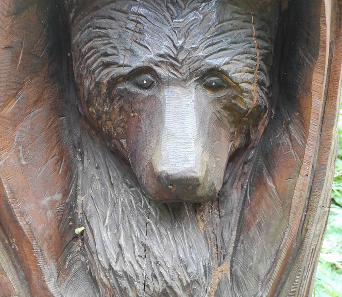 Obrázek galerie  26242