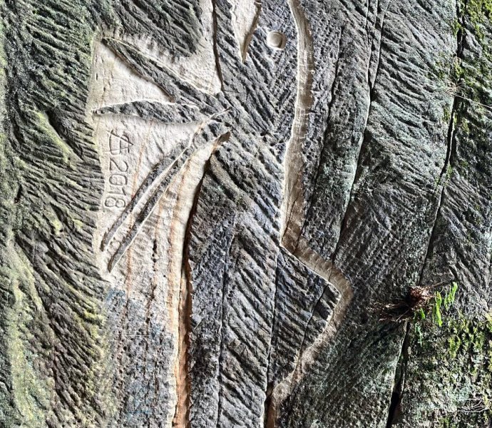 Obrázek galerie  26249