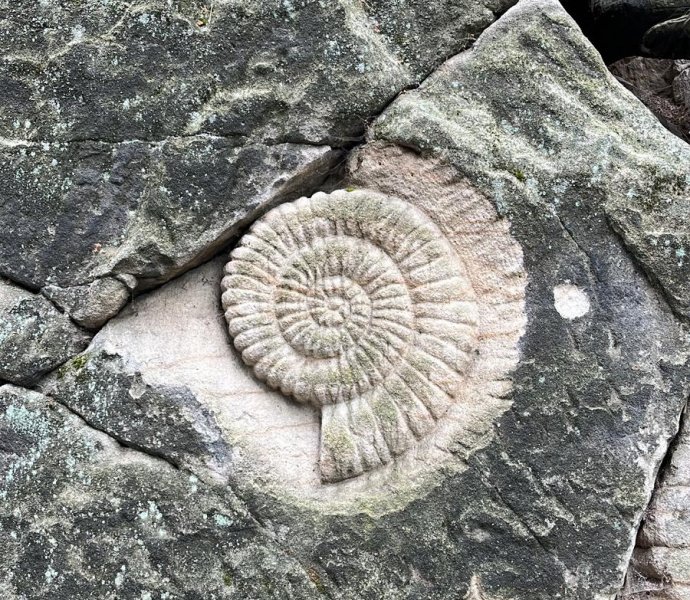 Obrázek galerie  26256