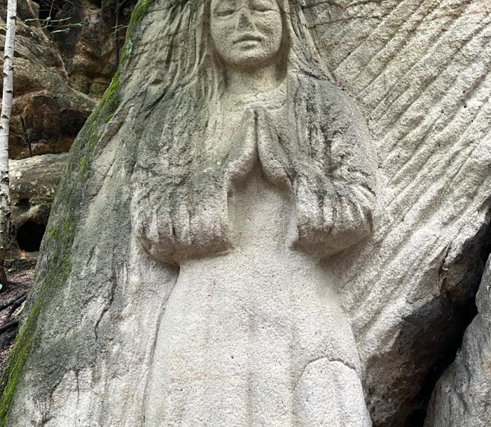 Obrázek galerie  26257