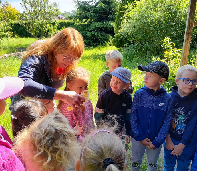 Obrázek galerie  26371