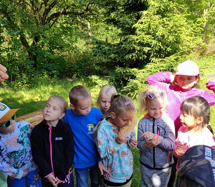 Obrázek galerie  26372