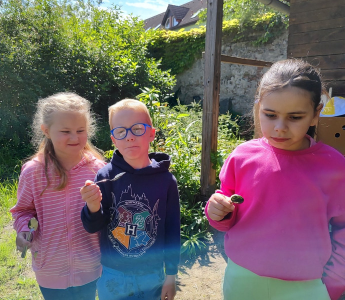 Obrázek galerie  26378