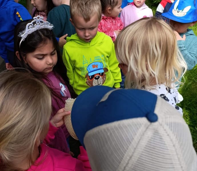 Obrázek galerie  26397