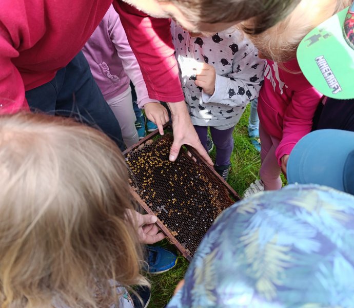 Obrázek galerie  26398