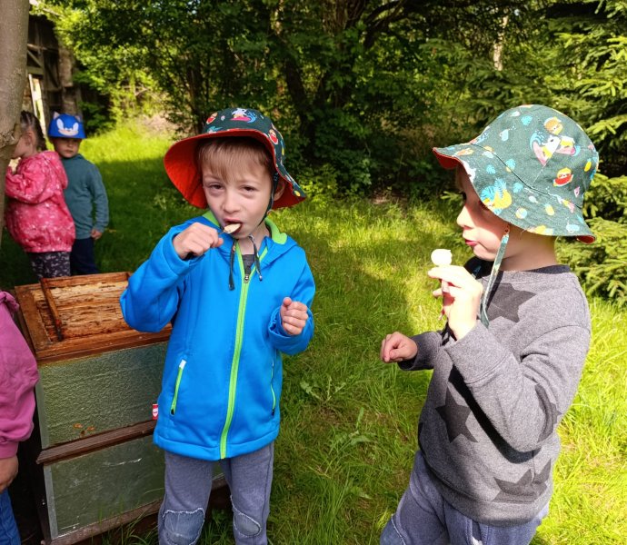 Obrázek galerie  26402