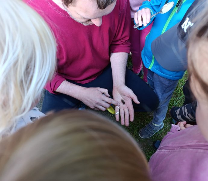 Obrázek galerie  26407