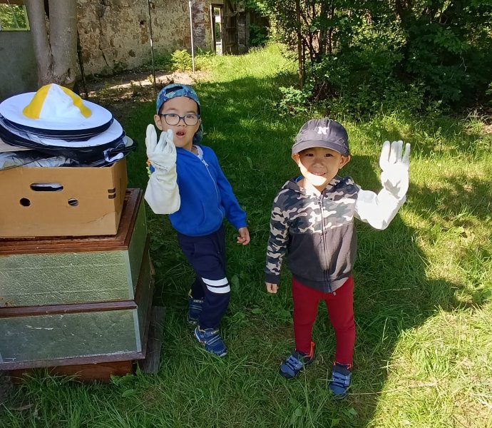 Obrázek galerie  26410