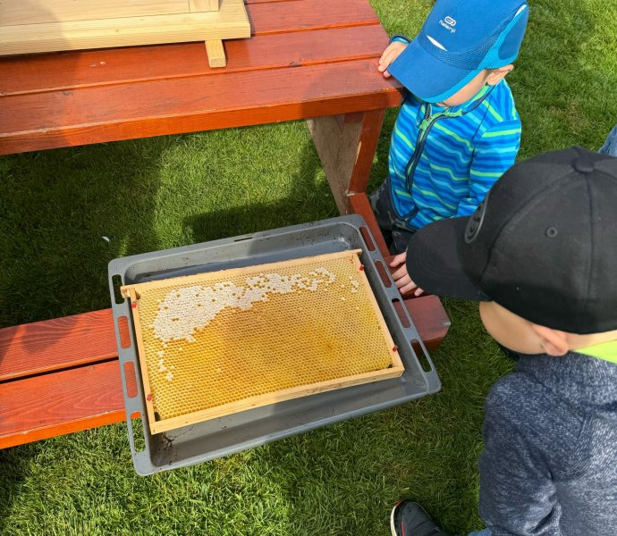 Obrázek galerie  26461