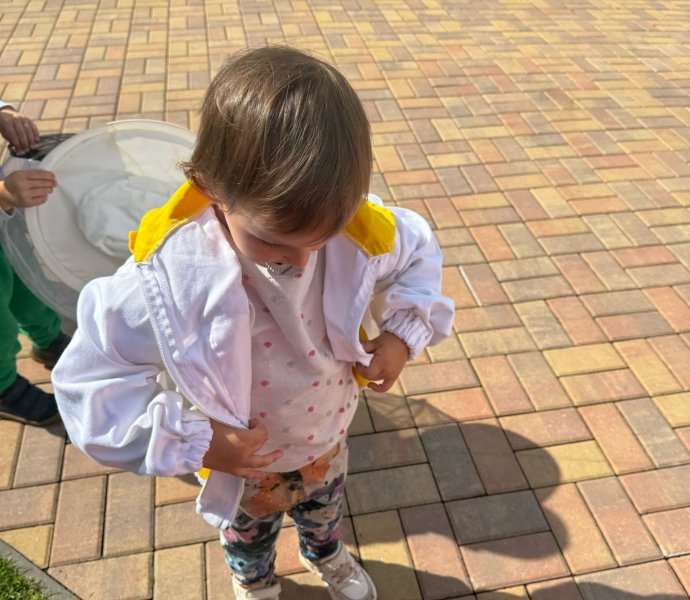 Obrázek galerie  26509