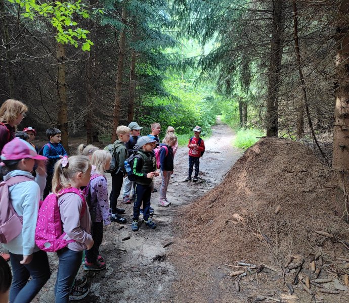 Obrázek galerie  26522