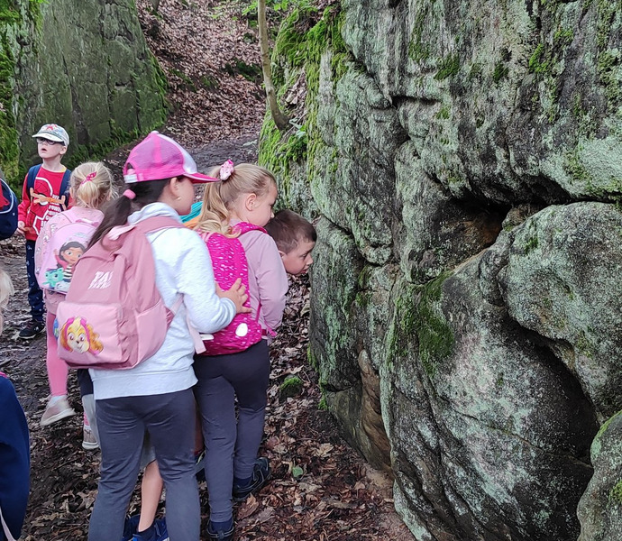 Obrázek galerie  26525