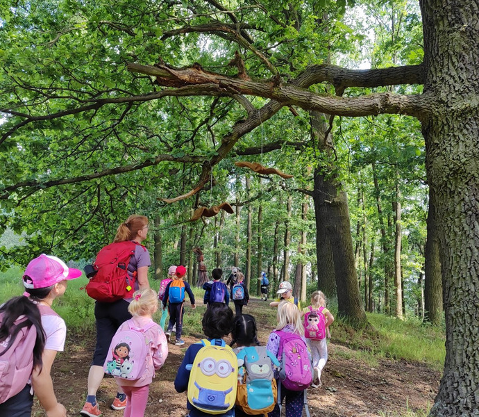 Obrázek galerie  26540