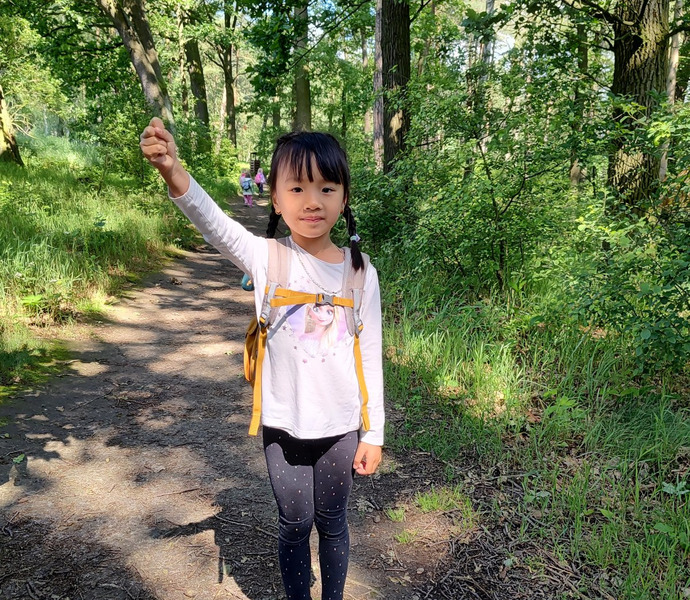 Obrázek galerie  26550