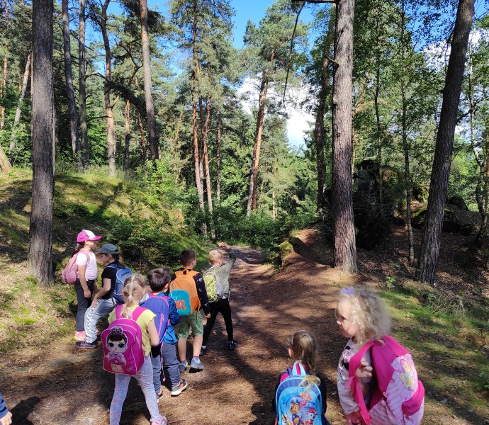 Obrázek galerie  26554