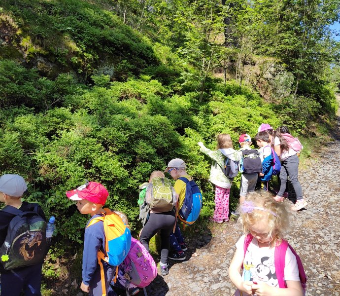 Obrázek galerie  26555