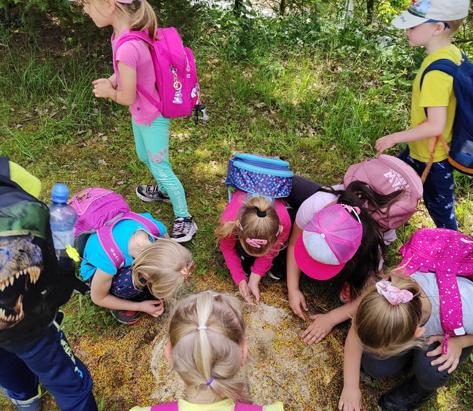 Obrázek galerie  26581