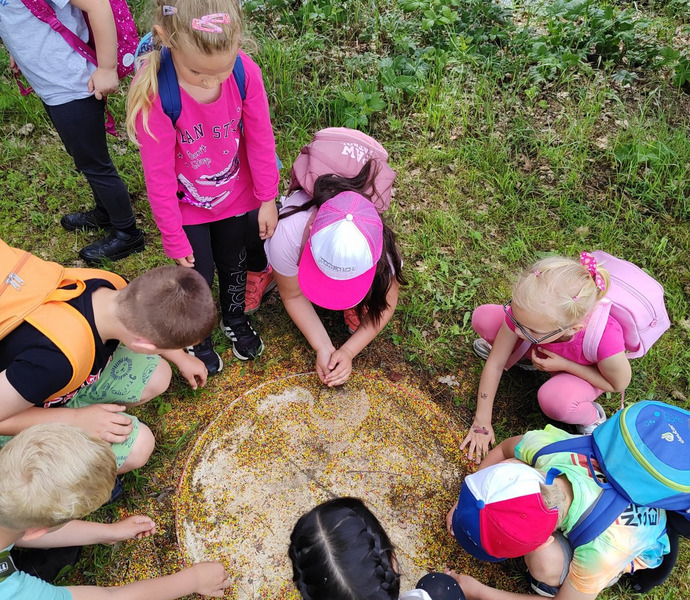 Obrázek galerie  26582