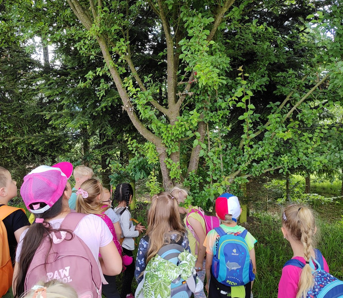 Obrázek galerie  26584