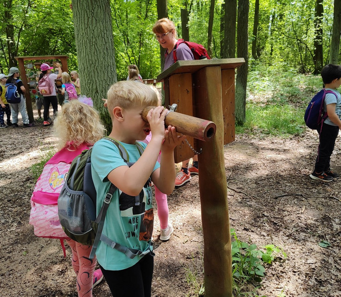 Obrázek galerie  26605