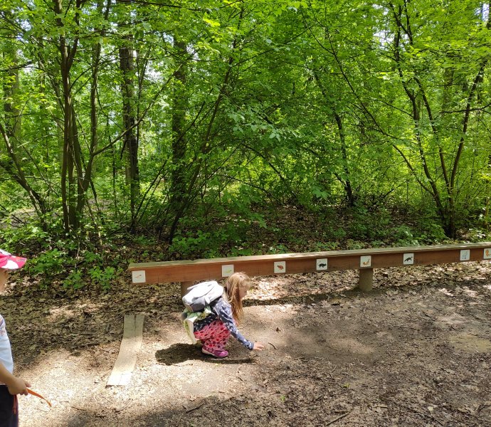 Obrázek galerie  26608