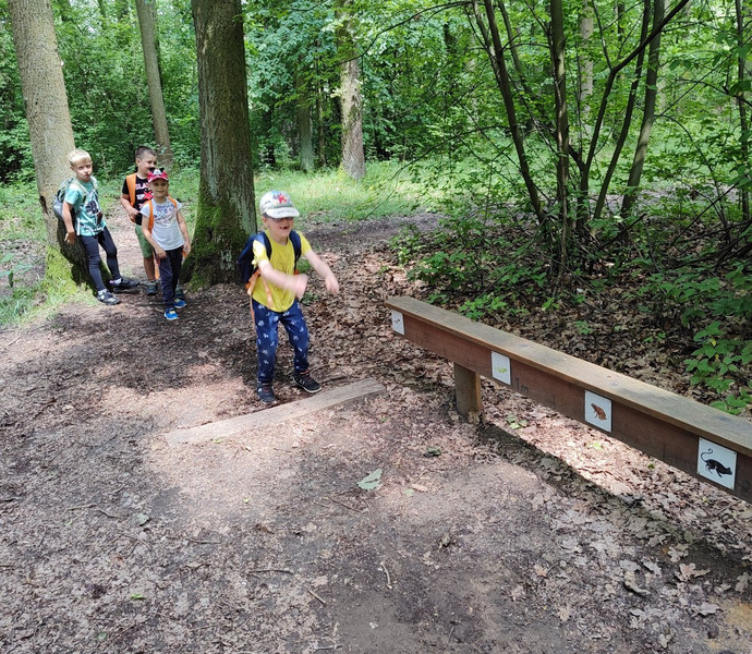 Obrázek galerie  26611