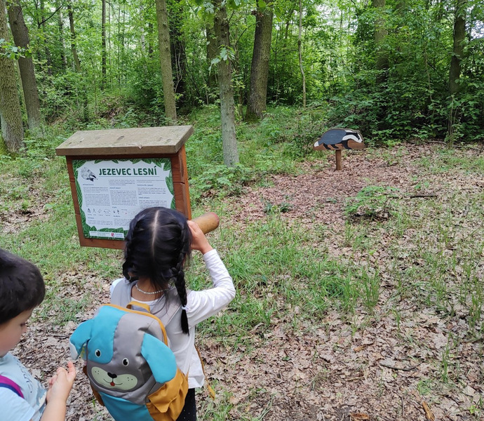 Obrázek galerie  26613