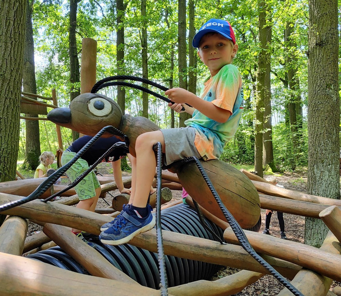 Obrázek galerie  26623