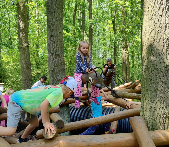 Obrázek galerie  26635