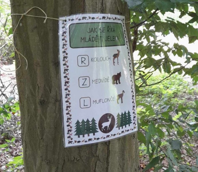 Obrázek galerie  26670