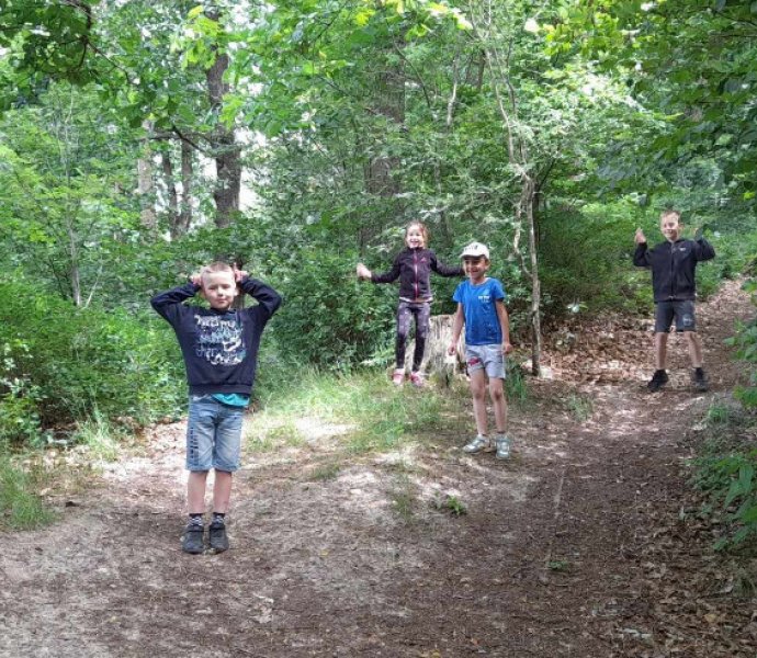 Obrázek galerie  26681