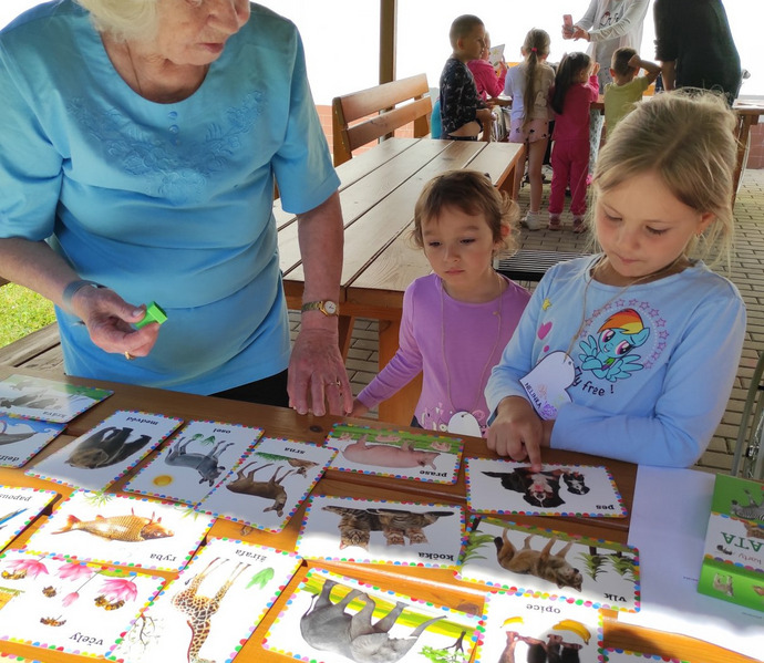 Obrázek galerie  26876