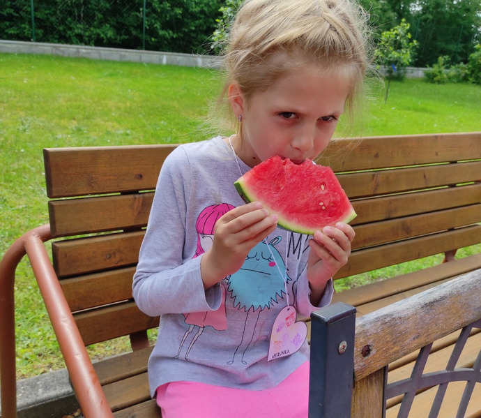 Obrázek galerie  26883