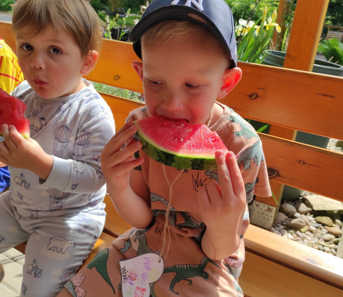 Obrázek galerie  26892