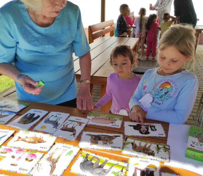 Obrázek galerie  26926