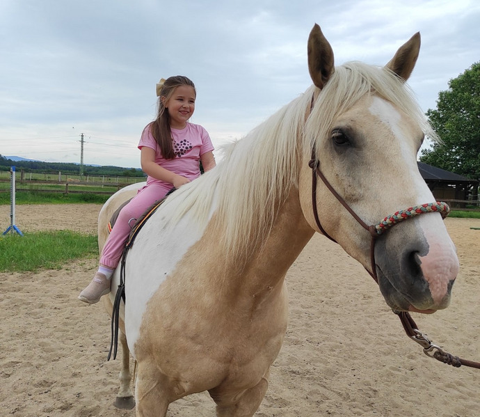 Obrázek galerie  26984