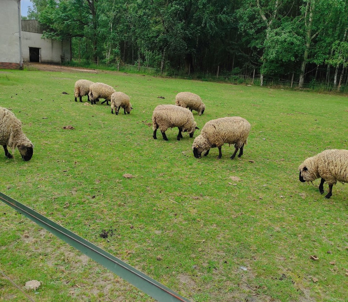 Obrázek galerie  27013