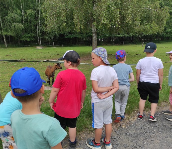 Obrázek galerie  27014