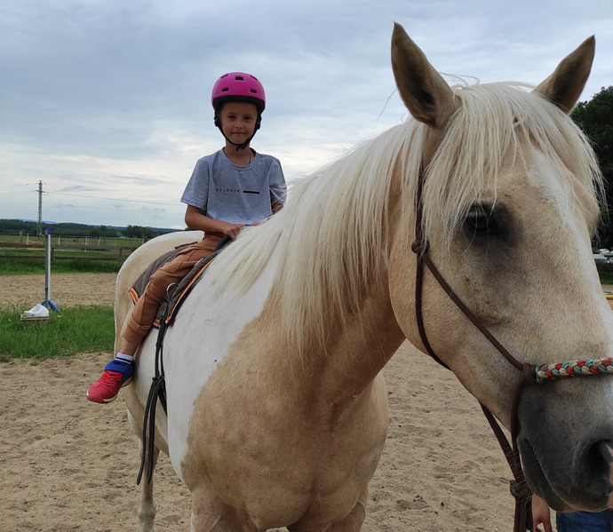 Obrázek galerie  27017