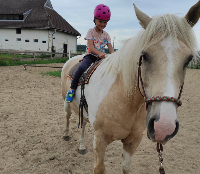 Obrázek galerie  27019