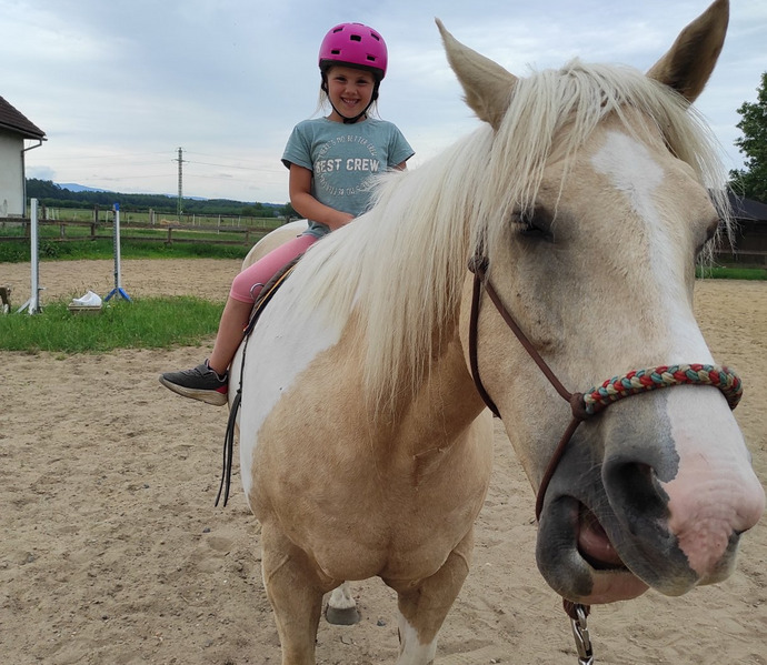 Obrázek galerie  27022