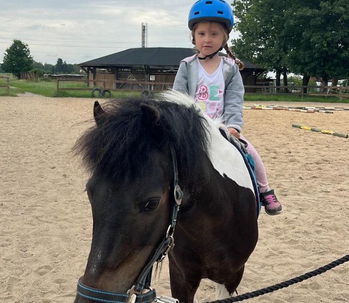 Obrázek galerie  27028