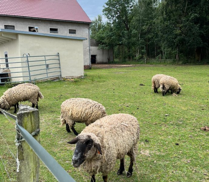 Obrázek galerie  27034